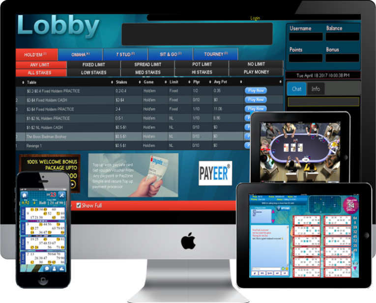 prowagersystem-poker-software-768×619-1